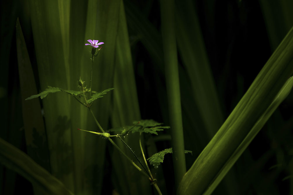 5. Platz Robert Seitz
